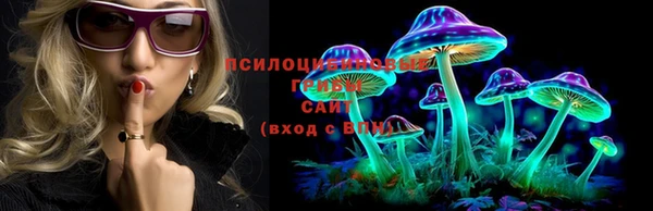 стаф Зеленокумск